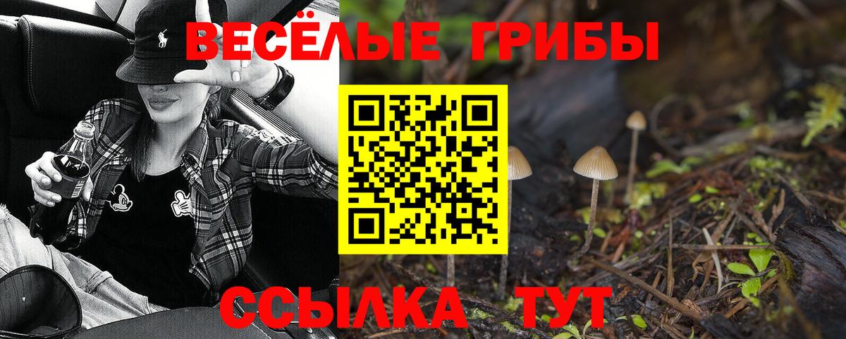 Полысаево  Псилоцибиновые грибы ЛСД  Вход с VPN 
